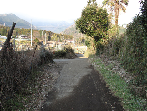 20160204hike (359)